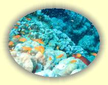 IMG_2007_05_29 14_04_07 * 3072 x 2304 * (1.18MB)